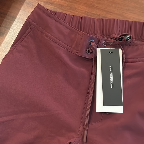 NWT Ten Thousand Maroon Foundation Short (No Liner) 9" Size Large - Picture 3 of 5